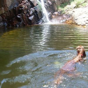 Meet your Posher, Adriana